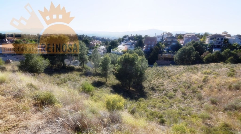 Murcia - Molina de Segura - 1800m2