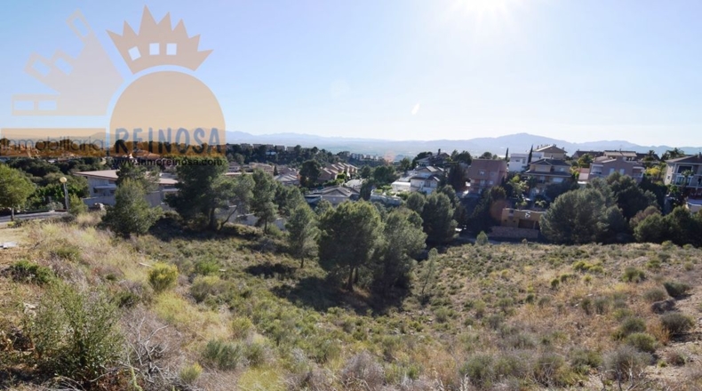 Murcia - Molina de Segura - 1800m2