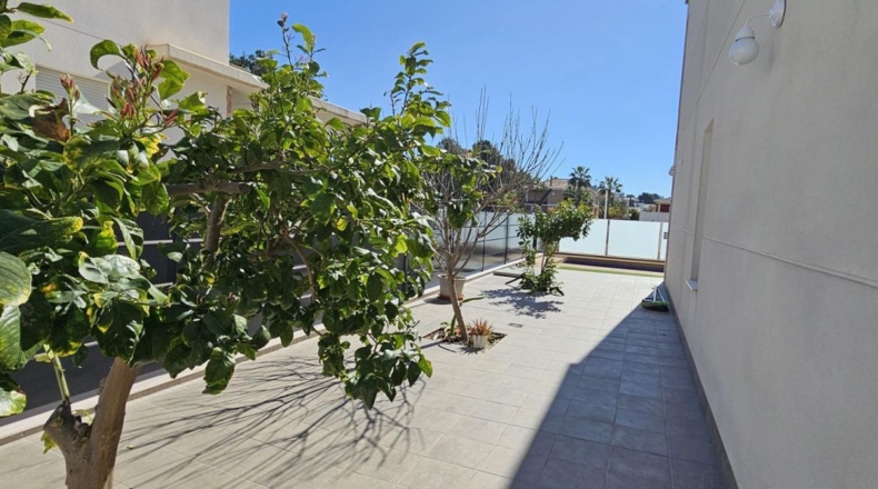Murcia - Molina de Segura - 404m2