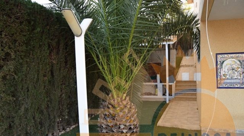 Murcia - Molina de Segura - 800m2