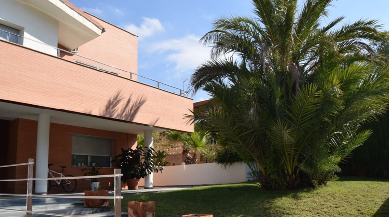 Murcia - Molina de Segura - 1200m2