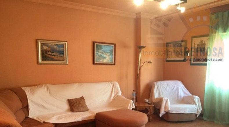 Murcia - Molina de Segura - 580m2