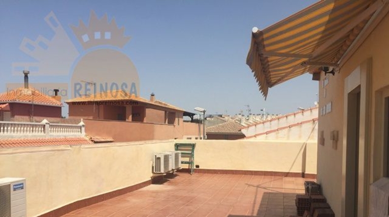 Murcia - Molina de Segura - 580m2