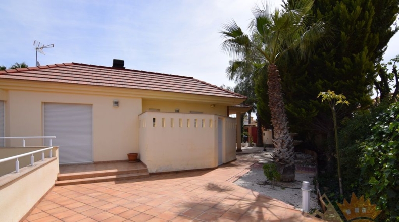 Murcia - Molina de Segura - 1045m2