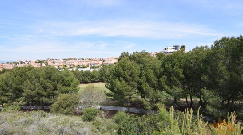 Murcia - Molina de Segura - 1045m2
