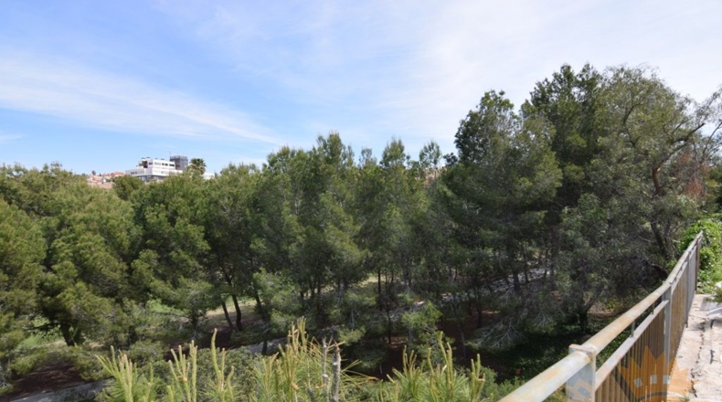Murcia - Molina de Segura - 1045m2