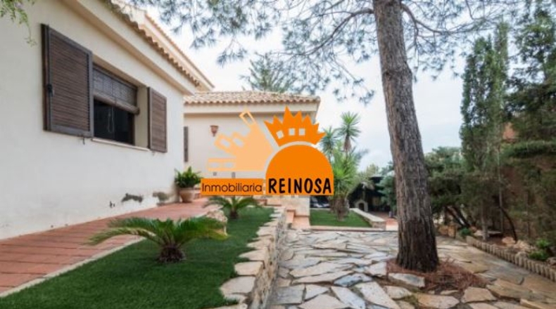 Murcia - Molina de Segura - 950m2