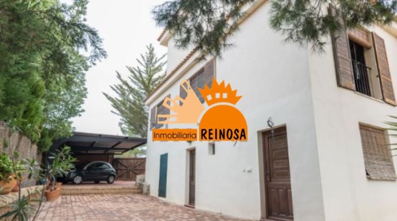 Murcia - Molina de Segura - 950m2