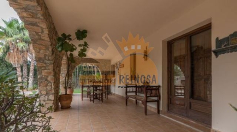 Murcia - Molina de Segura - 950m2
