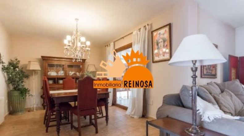 Murcia - Molina de Segura - 950m2