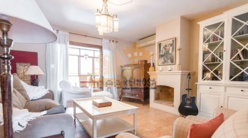 Murcia - Molina de Segura - 950m2