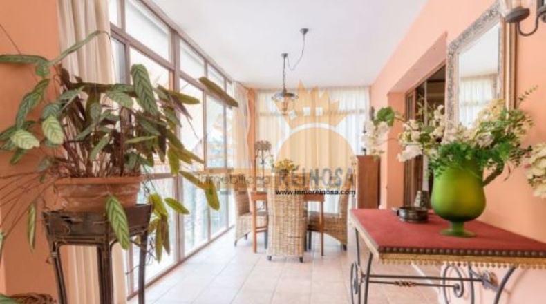 Murcia - Molina de Segura - 950m2