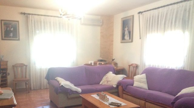 Murcia - Molina de Segura - 1035m2