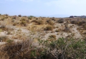 Sòl urbà en venda a Molina de Segura ref.: TR54253 foto