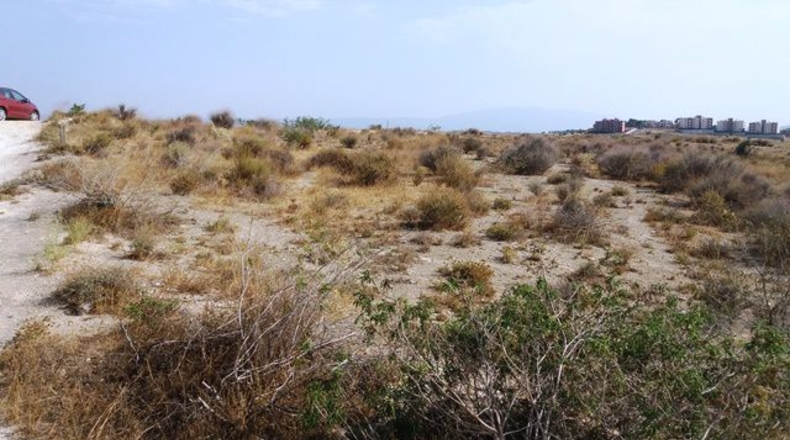 Murcia - Molina de Segura - 1200m2