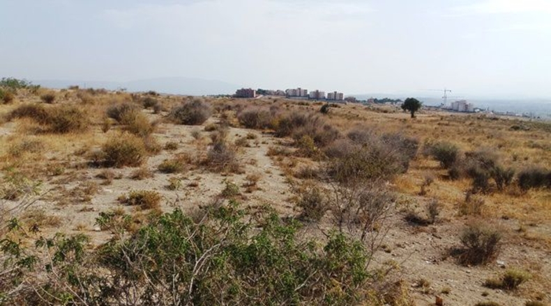 Murcia - Molina de Segura - 1200m2