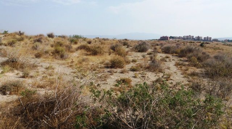 Murcia - Molina de Segura - 1200m2