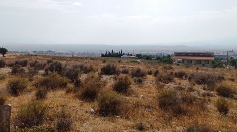 Murcia - Molina de Segura - 1200m2