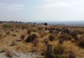 Sòl urbà en venda a Molina de Segura ref.: TR54253 foto