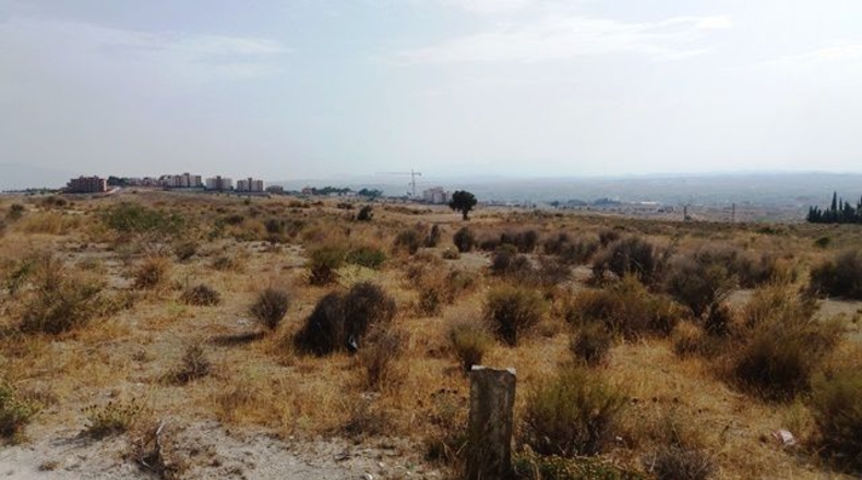 Murcia - Molina de Segura - 1200m2