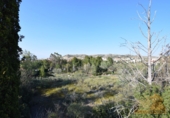 Sòl urbà en venda a Molina de Segura ref.: TR54252 foto
