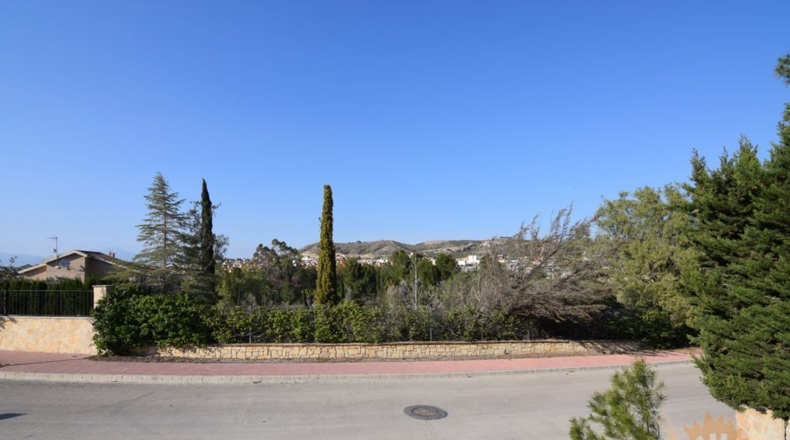 Murcia - Molina de Segura - 2559m2