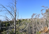 Sòl urbà en venda a Molina de Segura ref.: TR54252 foto