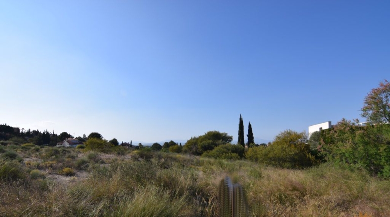 Murcia - Molina de Segura - 1705m2
