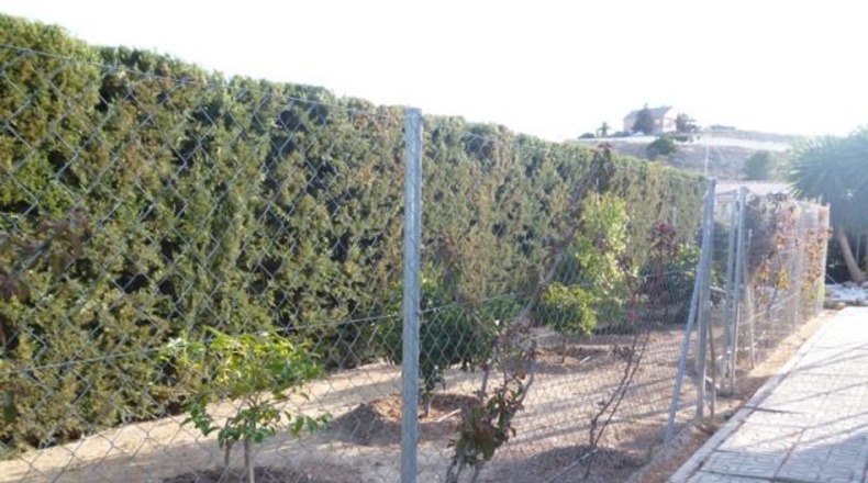 Murcia - Molina de Segura - 1587m2