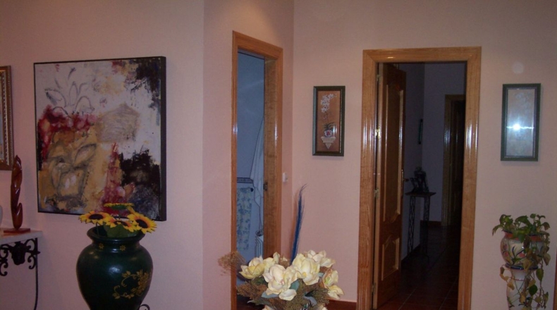 Murcia - Molina de Segura - 2200m2