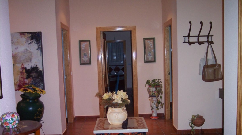 Murcia - Molina de Segura - 2200m2