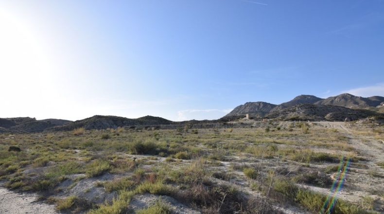 Murcia - Fenazar - 12025m2