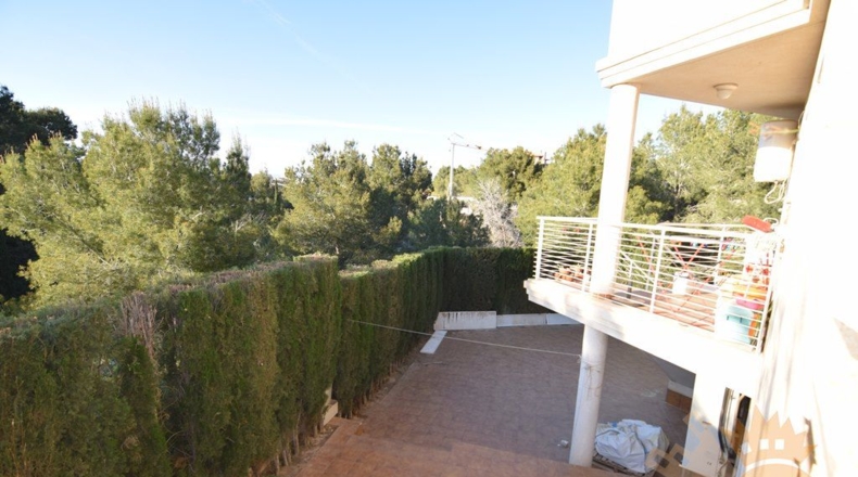 Murcia - Molina de Segura - 1040m2