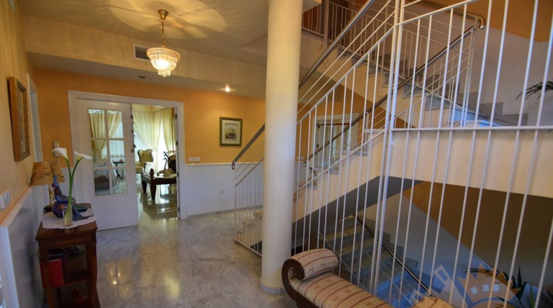 Murcia - Molina de Segura - 1040m2