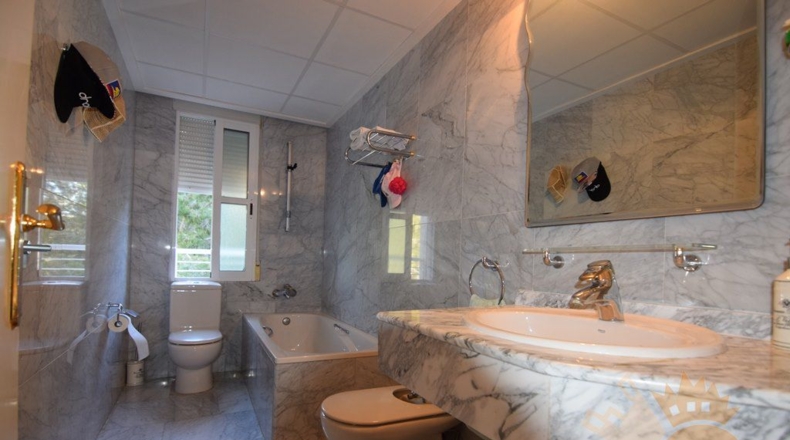 Murcia - Molina de Segura - 1040m2