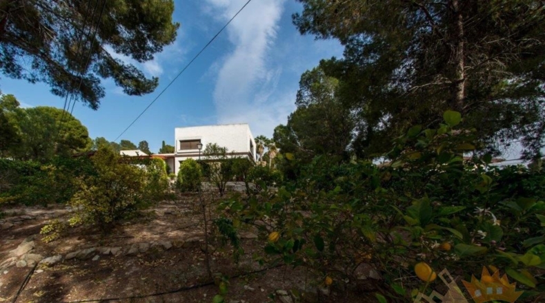 Murcia - Los Vientos - 1600m2
