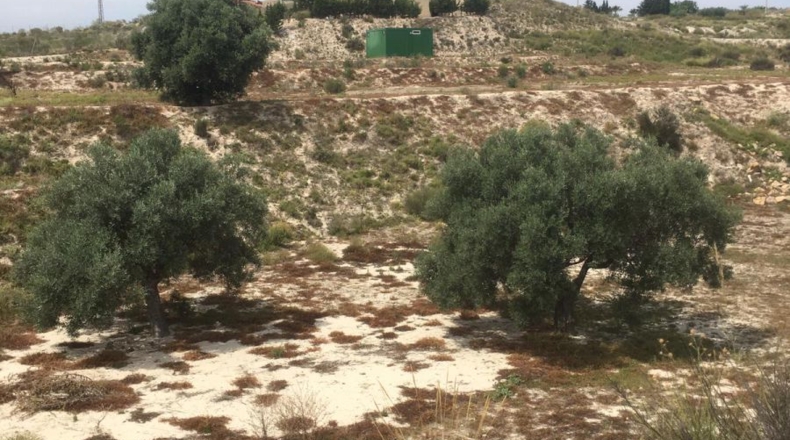 Murcia - Los Valientes - 8036m2