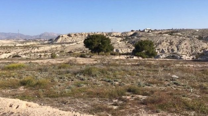 Murcia - Los Valientes - 8036m2
