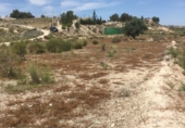 Земля на продажу у города Molina de Segura. Фото