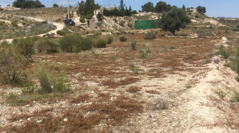 Murcia - Los Valientes - 8036m2