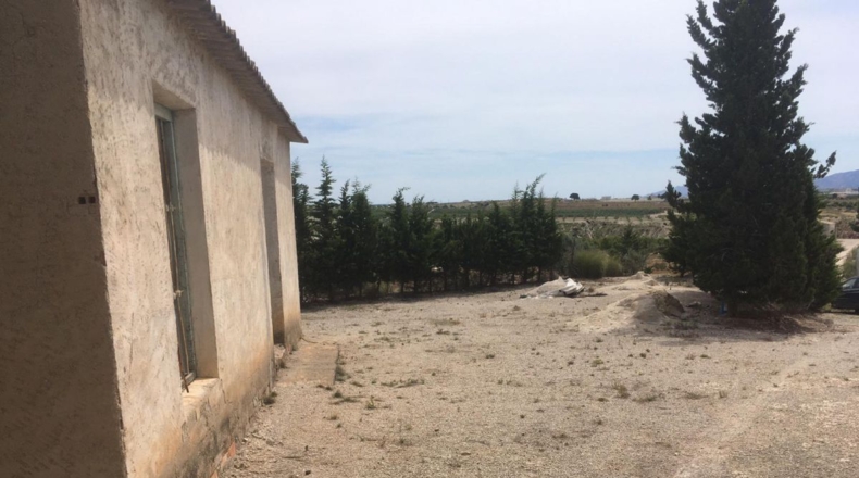 Murcia - Los Valientes - 8036m2