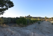 Rural estate for sale in Fortuna ref: TR188332 photo