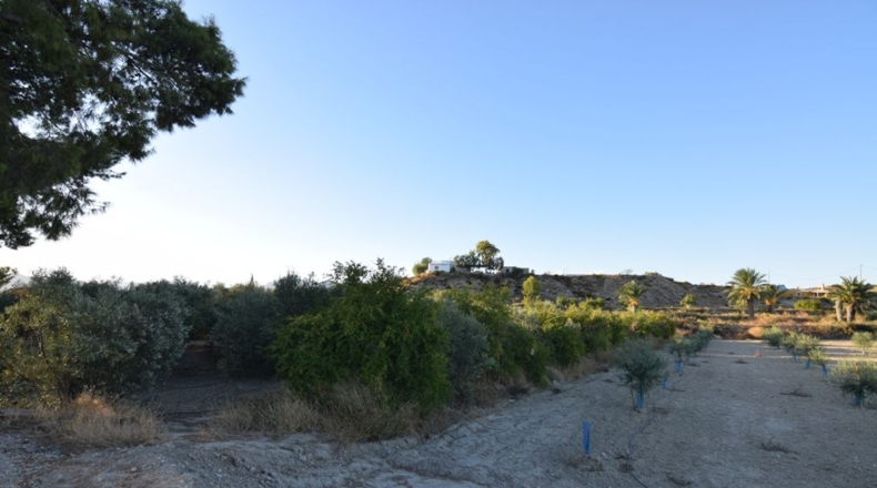 Murcia - Fortuna - 5590m2