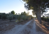 Rural estate for sale in Fortuna ref: TR188332 photo