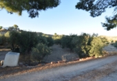 Rural estate for sale in Fortuna ref: TR188332 photo