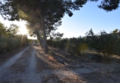 Rural estate for sale in Fortuna ref: TR188332 photo