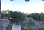 Rural estate for sale in Fortuna ref: TR188332 photo
