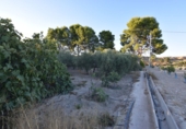 Rural estate for sale in Fortuna ref: TR188332 photo