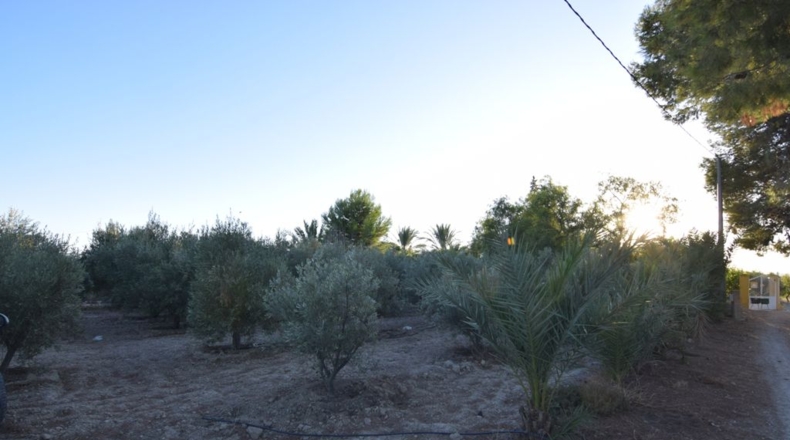 Murcia - Fortuna - 5590m2