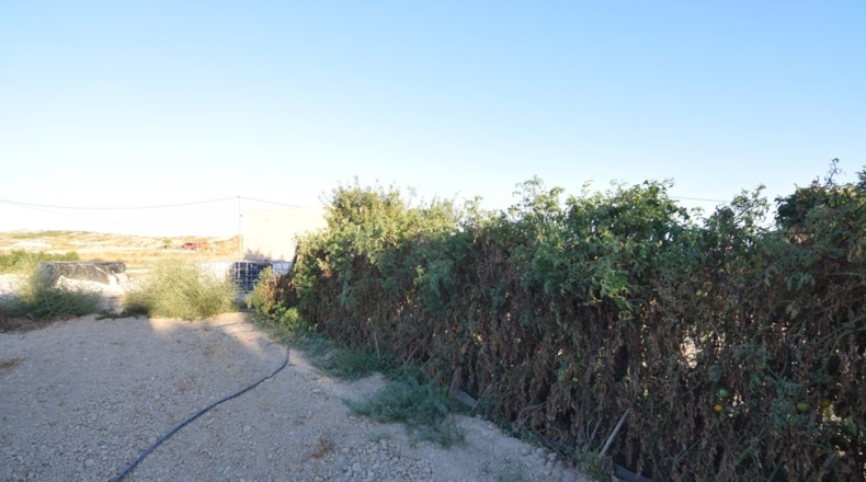 Murcia - Fortuna - 5590m2